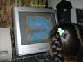 Software-educativo
