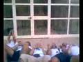 videos de Palio 2008.......RN2006 (1)