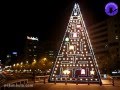Árboles de Navidad en Madrid (2008)