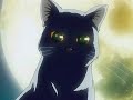 Into The Flood by Deepfield AMV Black Cat