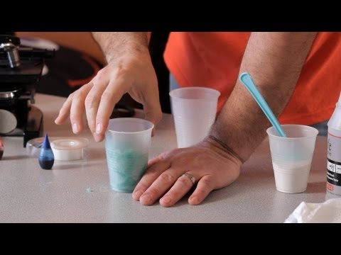 how to discover something in science