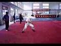 馬氏 通備拳 Ma style Tongbei Boxing - 1st Routine called Pi Gua