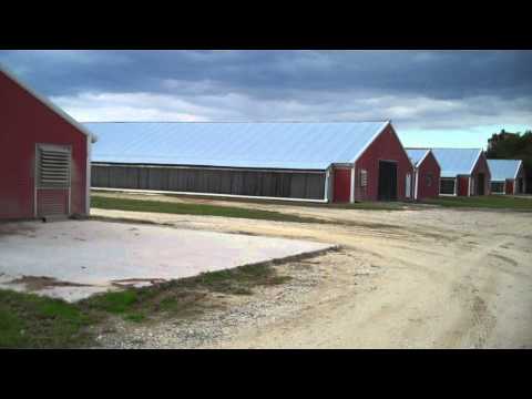 22 acres Preston, MD