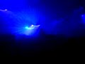 Blood Sugar - Pendulum (at Fabric)