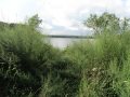 A time-lapse film, taken from photos shot at Fresh Pond Reservation, Cambridge, Massachusetts, during the months of January through December, 2008, by Richard Gardner, edited by Carolyn Chappo. This version is 1024x768 pixels.