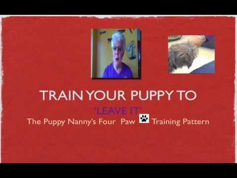 how to train nanny