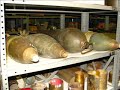 Secret Cache of Deadly Weapons I