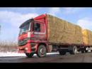 CHP and biomass in action