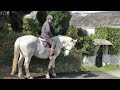 Click here to watch this video Rodney a retired City of London Police Horse.