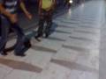 videos de 04082008033.mp4