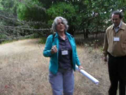 San Andreas Fault Tour (PART 1)