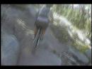Tahoe Rim Trail
