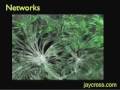 Networks