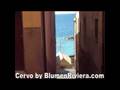 Cervo