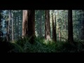 harry-potter-wand.html