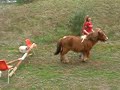 My Lil Pony Jumping