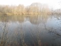 nisqually national wildlife refuge 12-26-09.wmv