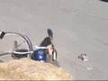2007 Chainless Race - Crested Butte, CO