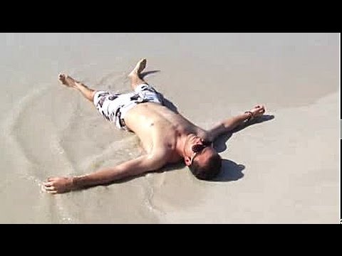 tortuga
