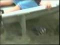 Recopilacion de videos de Fantasmas