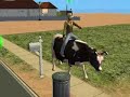 Ride able Cow for Sims 2