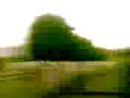 Catastrofe guerrillera.3gp