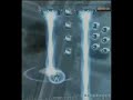 Ikaruga MAX COMBO Video
