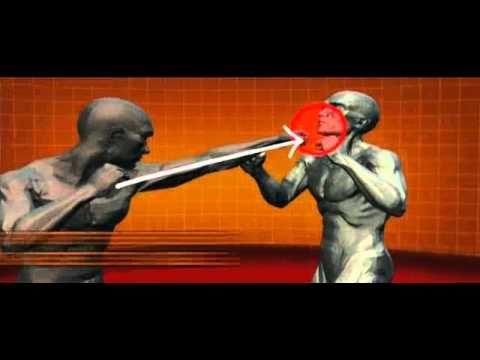 kickboxing - History Channel : Human Weapon.