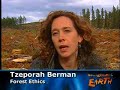Boreal Forest