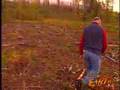 Boreal Forest