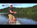 MONSTER PEACOCK BASS - Amazon River Monsters