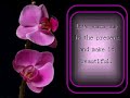 Learn to live (powerpoint presentation/slideshow)