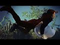 The Science of Sleep Music Video