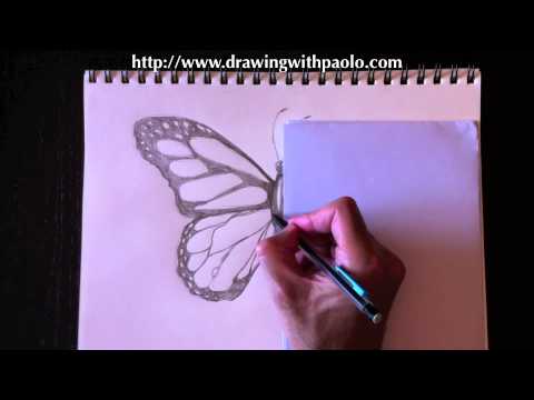 how to draw draw a butterfly