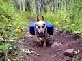 aspen hike