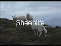 Scotland - The Big Country