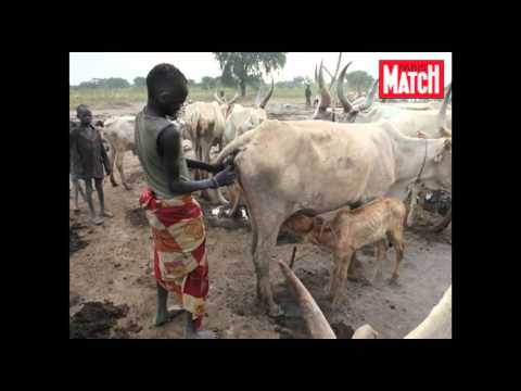 Image de prévisualisation YouTube