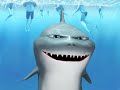 Shark Talk