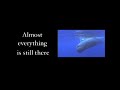 Clip from Rediagnosing the Oceans