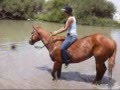 A Cowgirls Sweet 16