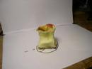 Apple Animation