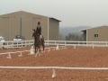 Curragh Dressage Nov 09 Irina & Doc Intro Test B