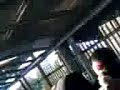 Luton Lads In The Away Cage At The Den Luton Lads In The Away Cage At The Den