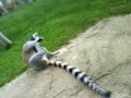 en el biopark (valencia \