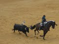 rejoneo murcia 08