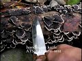 ??????Bushcraft ? ??????Bushcraft ?