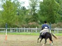 Amazing games pony! Amazing games pony!