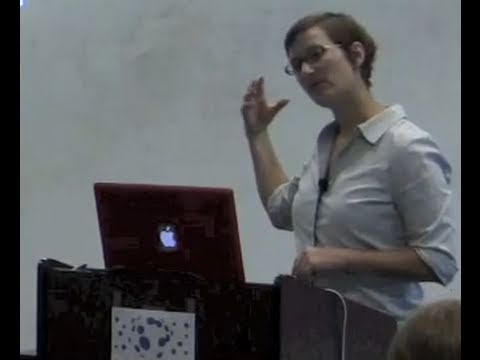 Galactic Halos - Risa Wechsler (SETI Talks)