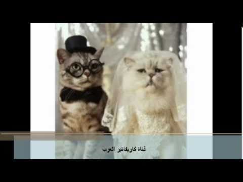 فيديو ليلة الدخله في الزواج