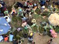 Harar and the qat market Harar and the qat market